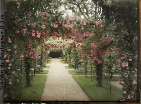 Image représentant Axe central du verger-roseraie vu vers la dépendance, après le rond-point proche du jardin français