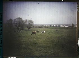 Image représentant France, Fontenay-Fleuri, Pâture à la Sortie de St Cyr