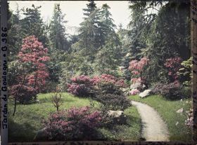 Image représentant Chemin du " sanctuaire japonais " bordé d'érables et d'azalées, à la sortie du " village japonais "