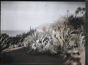 Image représentant Le Jardin (matin)