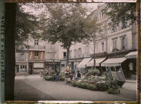 Image représentant Le marché aux fleurs et les boutiques place du Cygne