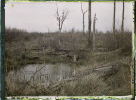 Image représentant Belgique, Forêt d' Houtuhlsd, Forêt d' Houtuhlsd; un aspect du sol et trous de marmites remplis d'eau