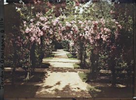 Image représentant Axe central du verger-roseraie vu à mi-parcours, en direction de la dépendance