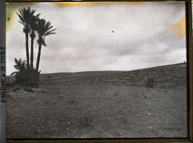 Image représentant Sur la route menant à Marrakech