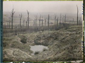 Image représentant Belgique, Kemmel, Le Bois du Kemmel et vue vers Neuve Eglise