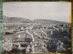 Image représentant La Terrasse des Lionnes