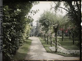 Image représentant Ponctuation fleurie sur l'allée du verger-roseraie proche de la dépendance, menant à la forêt bleue