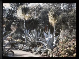 Image représentant Jardin divers
