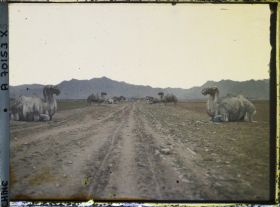 Image représentant Ming Shisanling (" Treize Tombeaux des Ming ")