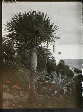 Image représentant Cap Martin Le Jardin