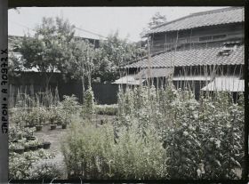 Image représentant Pépinière privée (?)