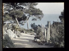 Image représentant le Jardin