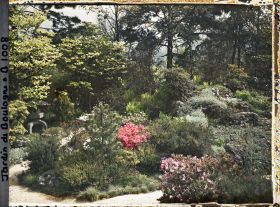 Image représentant Rocaille fleurie à la jonction de chemins du " sanctuaire japonais " proches du verger-roseraie