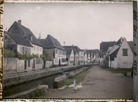 Image représentant France, Wissembourg, Vue sur Bruschstaden, avec oies au 1er plan