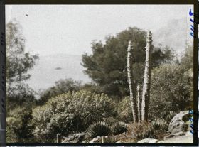 Image représentant le jardin