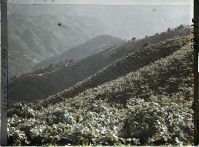 Image représentant Vignobles à flanc de montagne