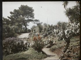 Image représentant Cap Martin Le Jardin