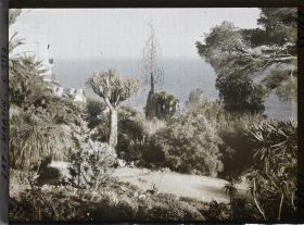 Image représentant le jardin