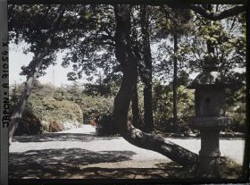 Image représentant lanterne dans un parc