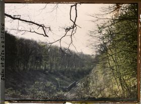 Image représentant Dans le parc