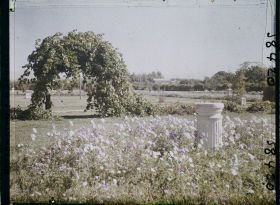 Image représentant Afghanistan, Kaboul, Un coin du Jardin des affaires Etrangères