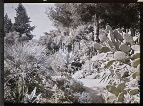 Image représentant le Jardin