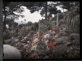 Image représentant Cap Martin - Le Jardin