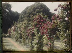 Image représentant Propriété de madame Douine