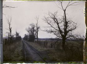 Image représentant France, La Pompelle, Nouvel aspect de l'Allée Noire