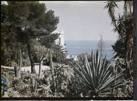 Image représentant le Jardin