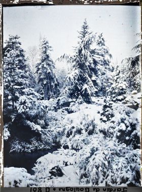 Image représentant Paysage arboré du " sanctuaire japonais sous la neige, dissimulant pont et sorinto