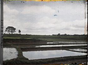 Image représentant Des rizières étagées aux abords du village