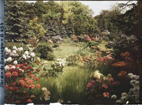 Image représentant Azalées et rhodos près de la forêt bleue et du marais