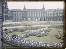 Image représentant Les tulipes au jardin des Tuileries
