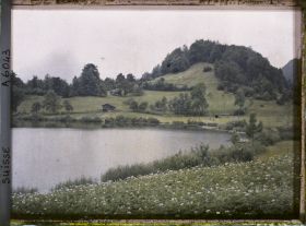 Image représentant Le Burgseeli