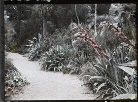 Image représentant le Jardin