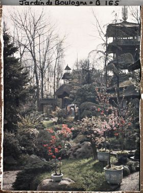 Image représentant Arbres en pots fleuris sur fond de jardin, aux abords de la maison ouest du " village japonais "