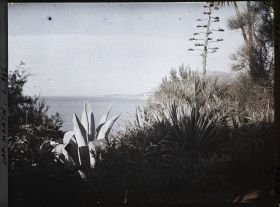 Image représentant Le Jardin (matin)