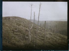 Image représentant France, Le Linge (Positions allemandes)