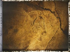 Image représentant La grotte des Trois-Frères : la tête de bison