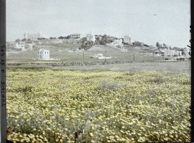 Image représentant Vue de la colline de Saint-Louis ou Byrsa avec à gauche la cathédrale de Saint-Louis ou primatiale de Carthage et à droite des villas et l'hôtel Saint-Louis