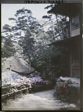 Image représentant Escaliers bordés d'azalées du Japon