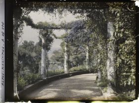 Image représentant Pergola du jardin de la villa Cypris