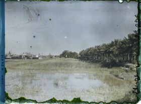 Image représentant Vue sur la rive gauche du Chatt al 'Arab
