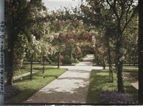 Image représentant Axe central du verger-roseraie vu en direction du jardin anglais, après le rond-point côté dépendance