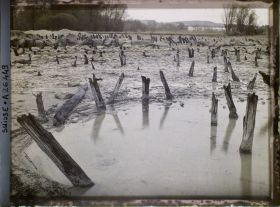 Image représentant Site palafittique préhistorique des Alpes, pieux en bois visibles lors de la baisse des eaux après la grande sécheresse de 1921