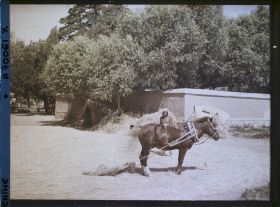 Image représentant Probablement aux environs ouest de Beijing