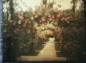 Image représentant Axe central du verger-roseraie vu à mi-parcours, en direction du jardin anglais