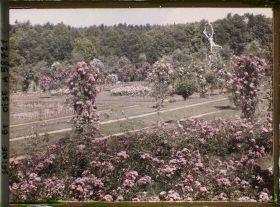 Image représentant Propriété de madame Douine
