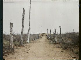 Image représentant Belgique, Kemmel, Le Chemin de Locre au Sommet du Kemmel